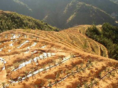 各种节水灌溉技术介绍_山东华维节水