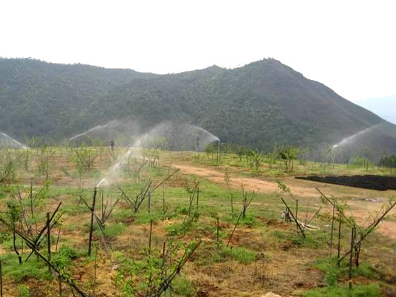 节水型果园地面灌溉技巧