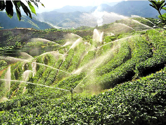 山岭喷灌